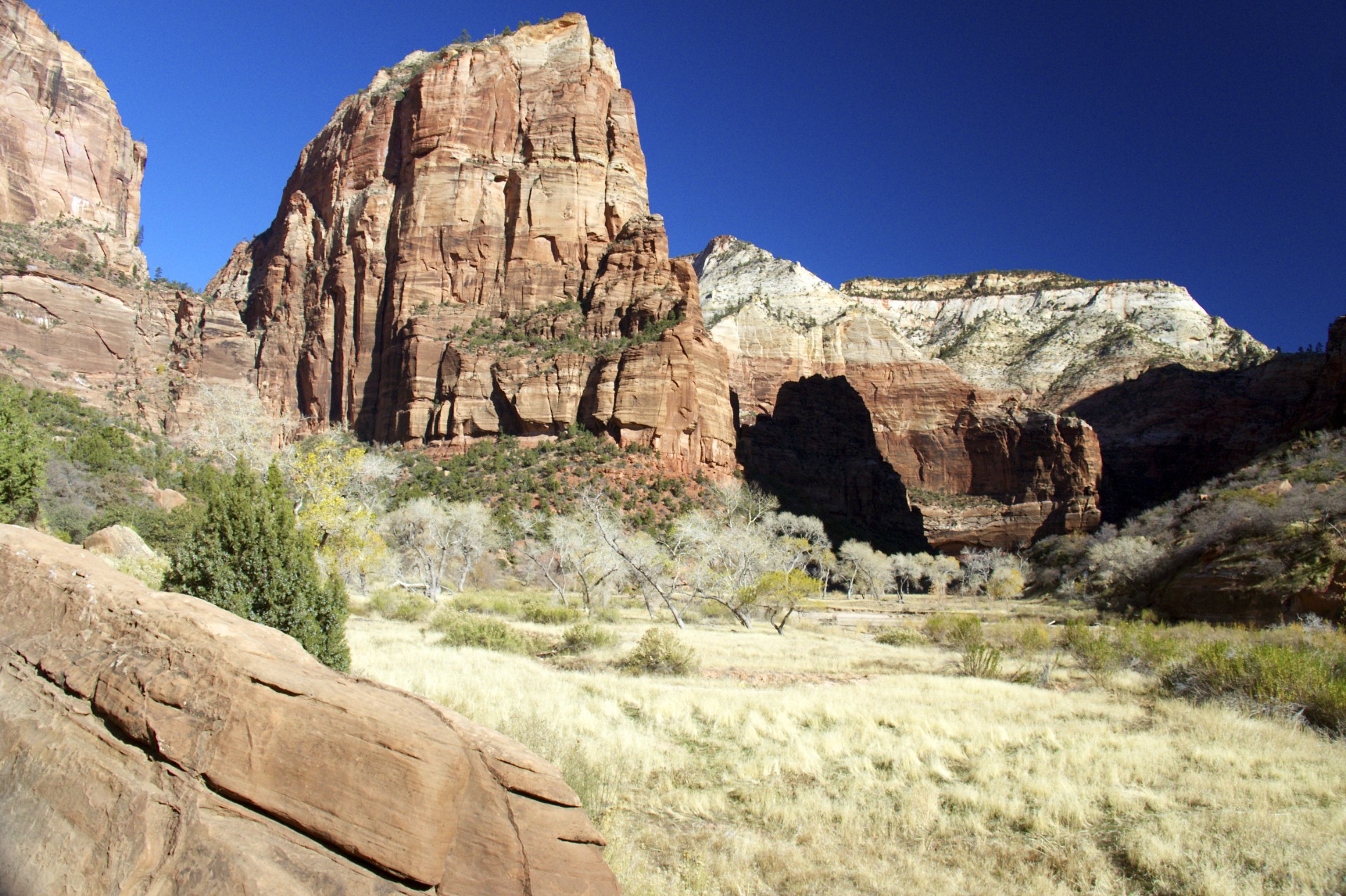 Angels Landing - gallery