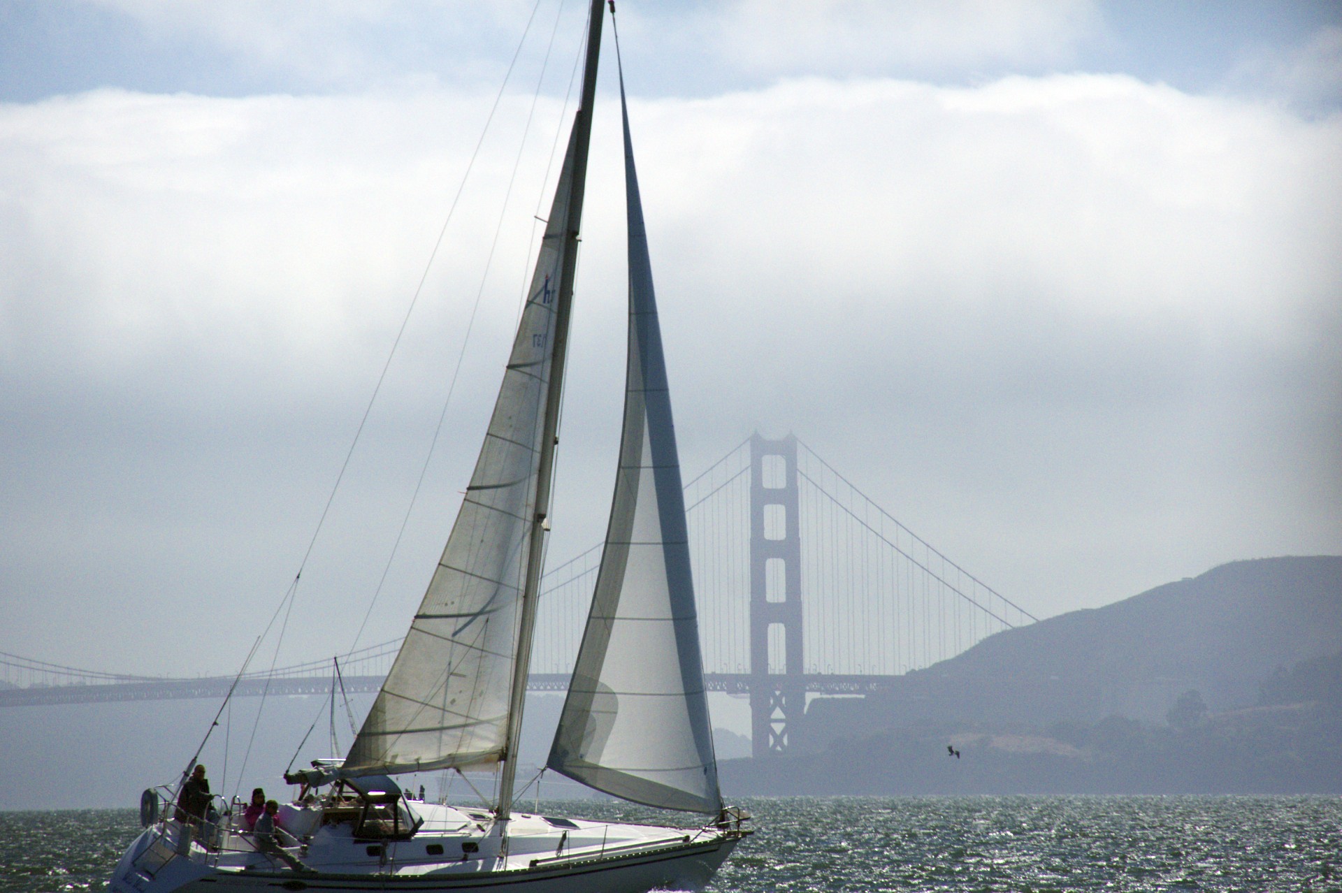 Bay Sailing - gallery