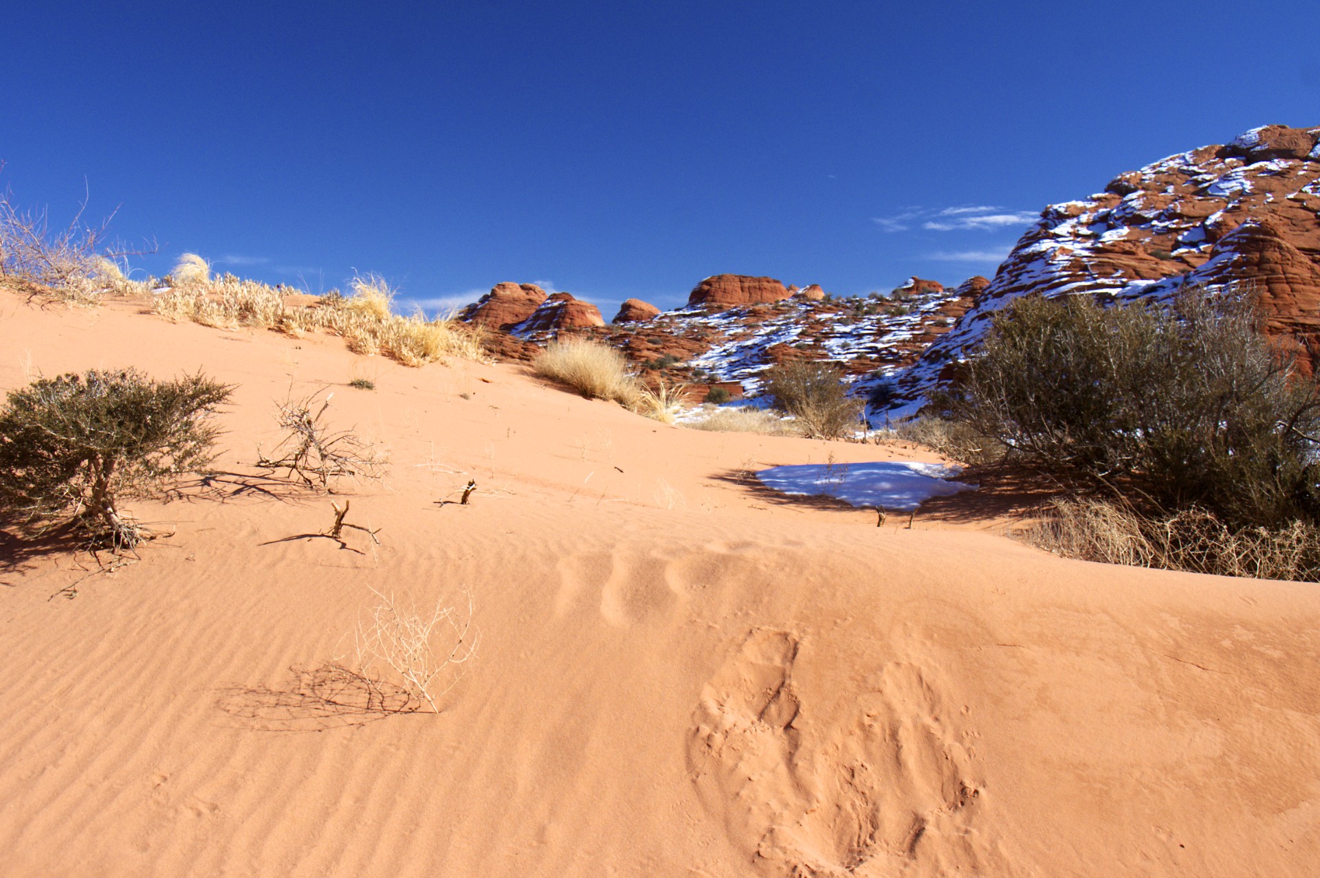 Coyote Buttes North - gallery