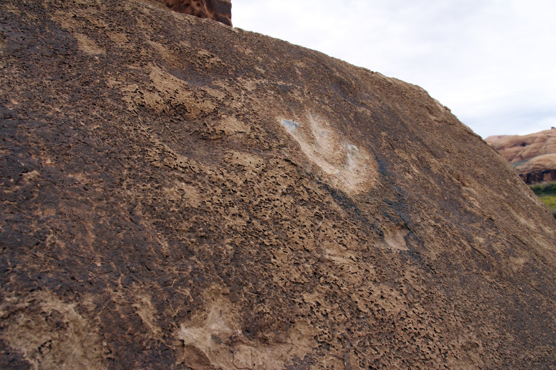 Dinosaur Tracks - gallery