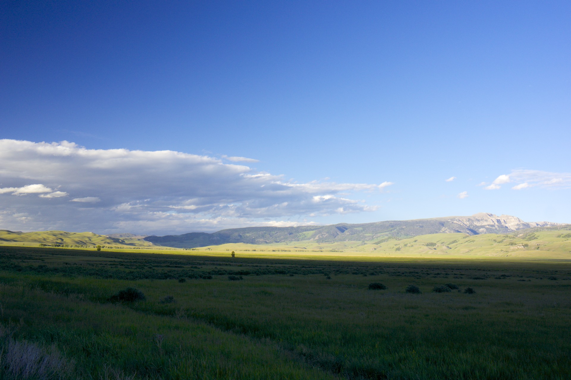 Elk Refuge - gallery