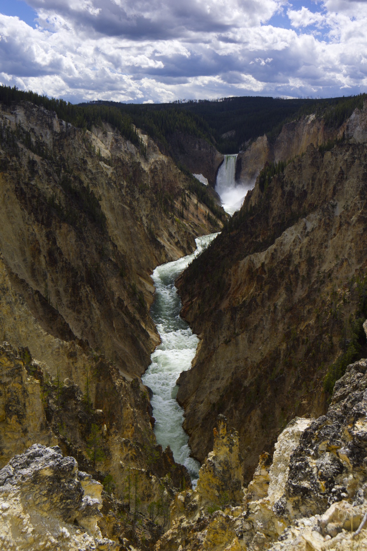 Grand Canyon of the Yellowstone - gallery