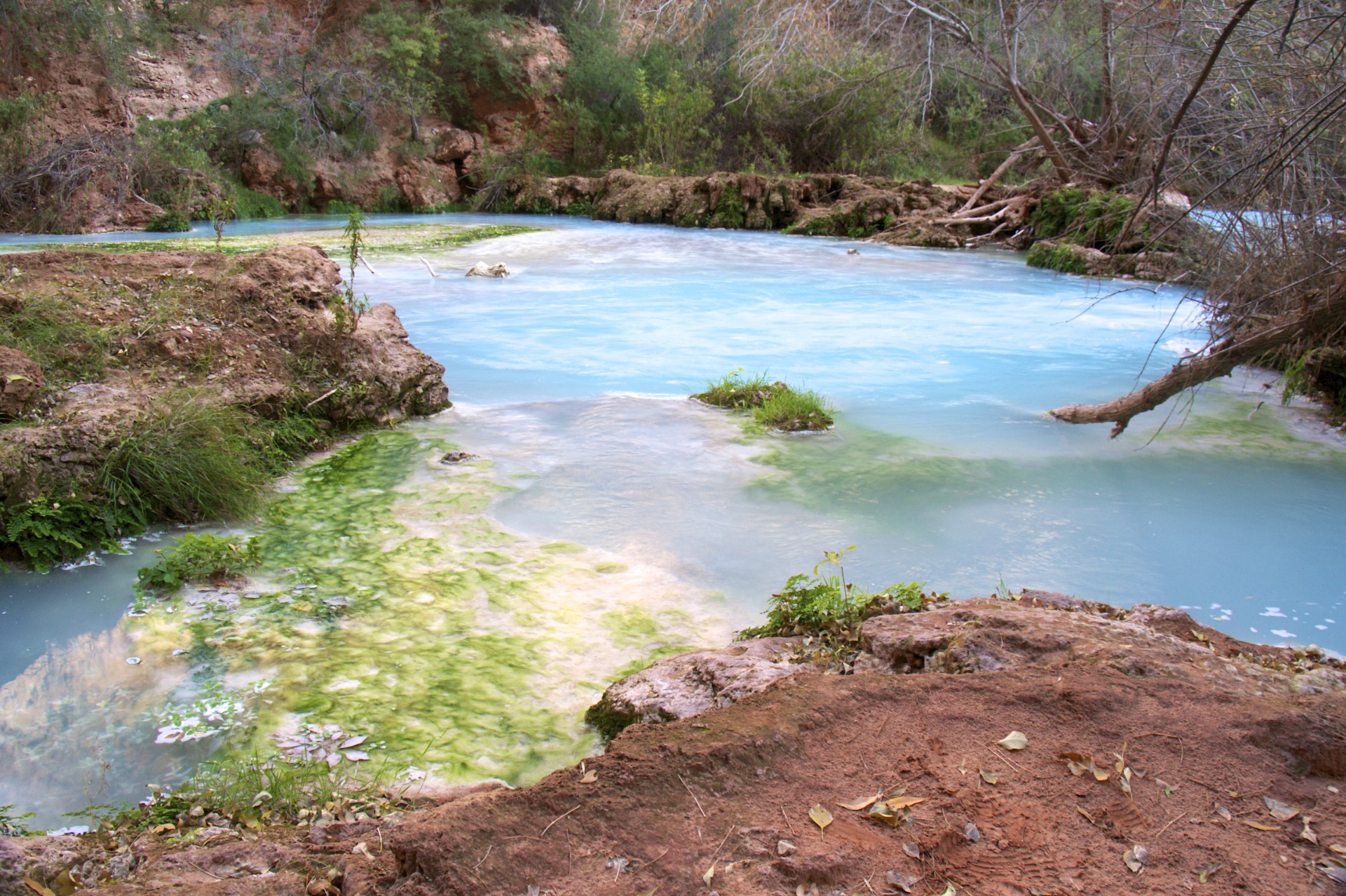 Havasu Creek - gallery