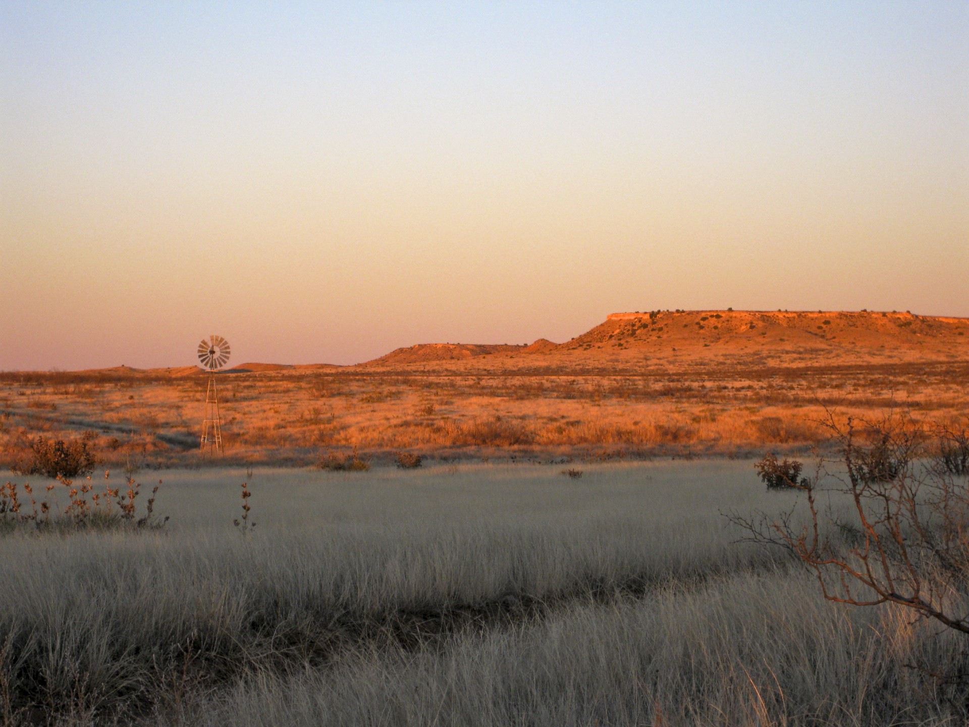 Llano Estacado