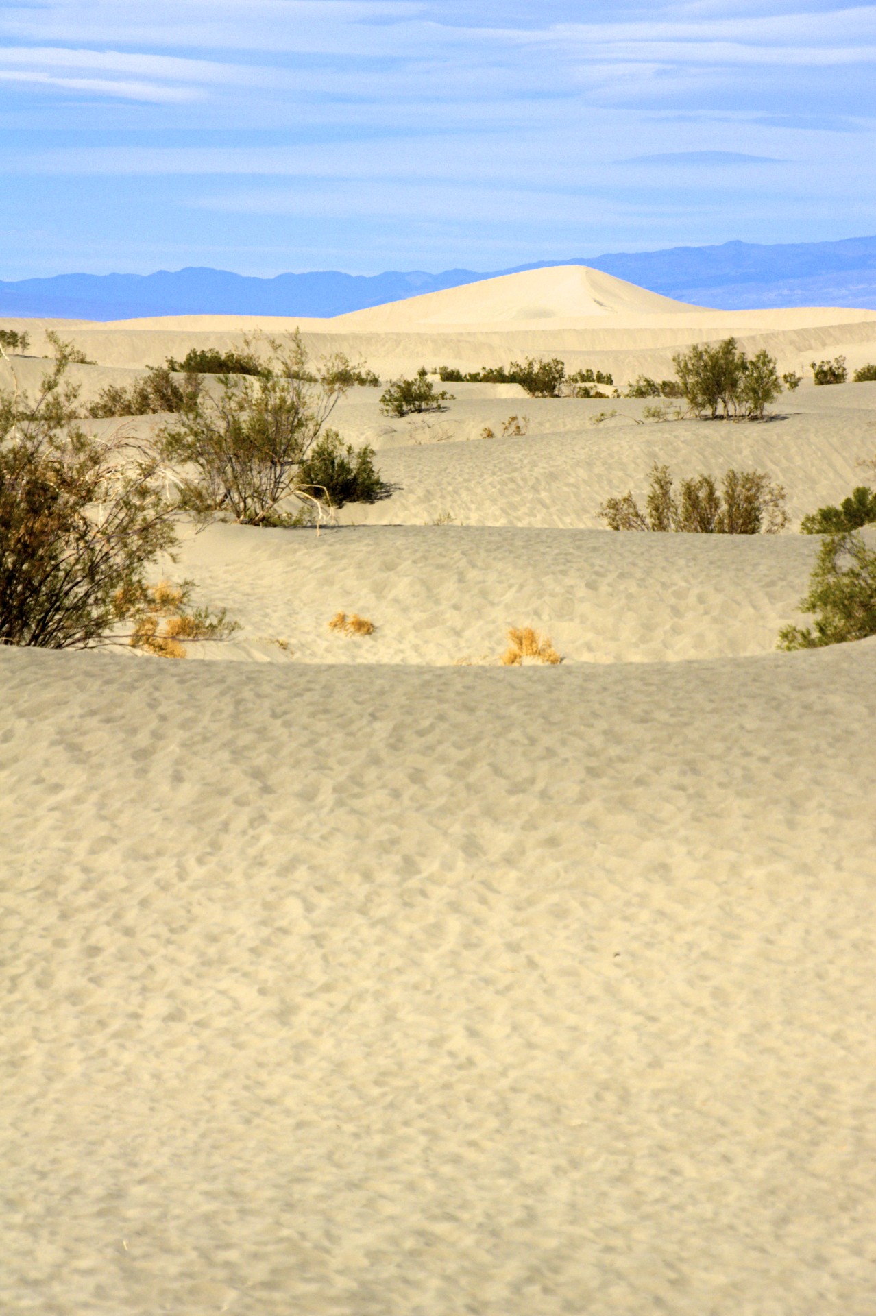 Mesquite Dunes - gallery