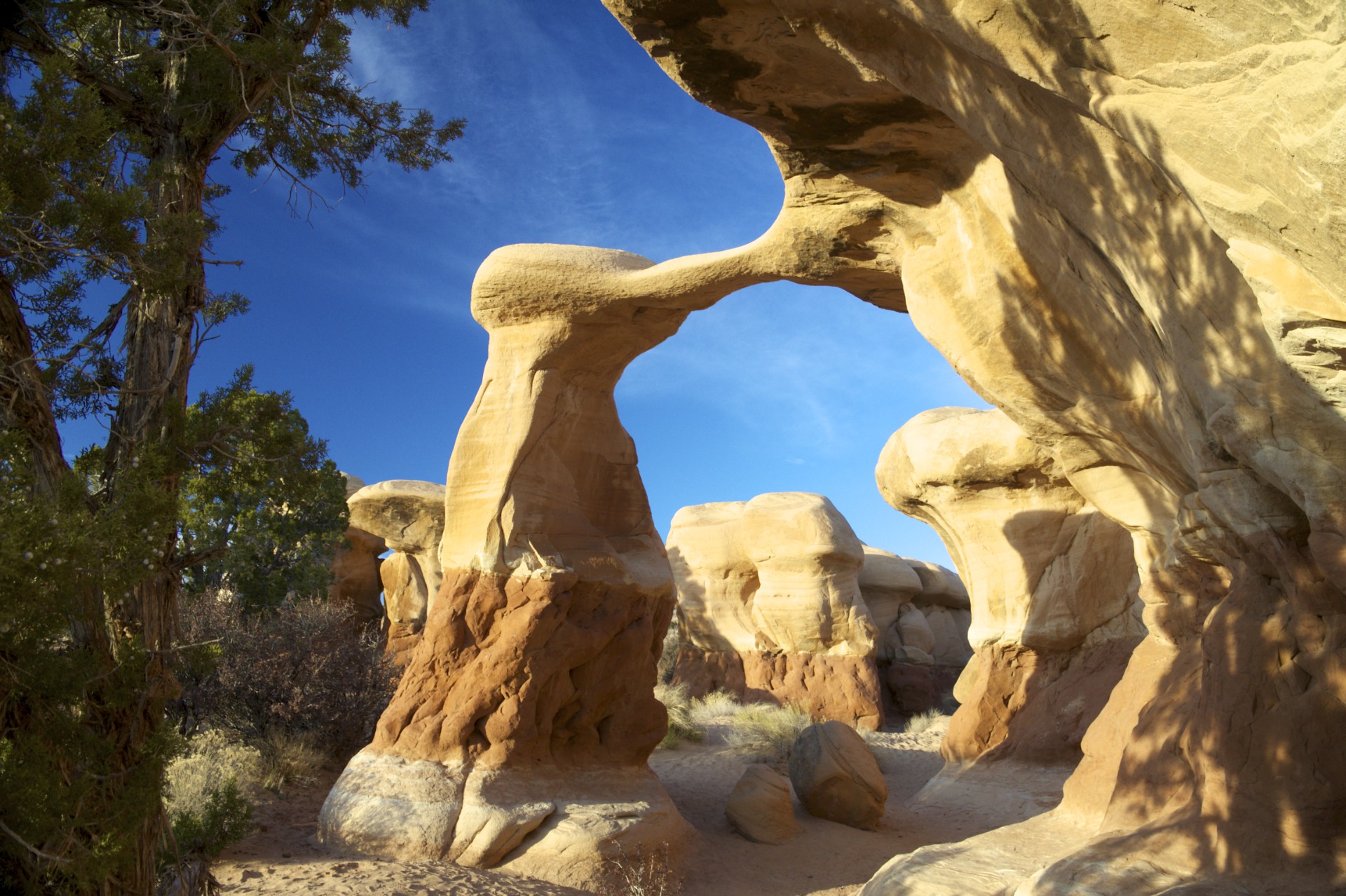 Metate Arch - gallery