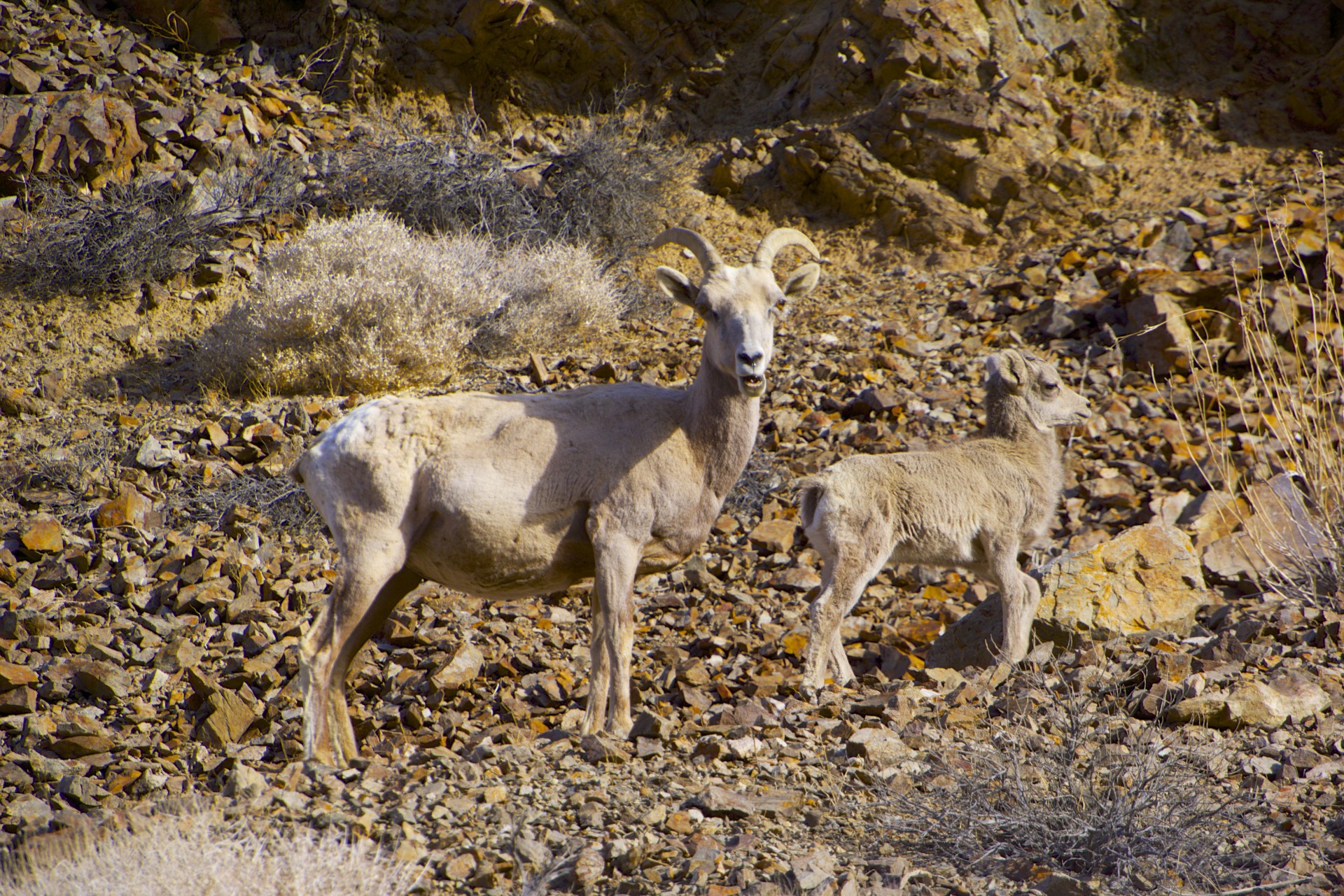 Mom and kid - gallery