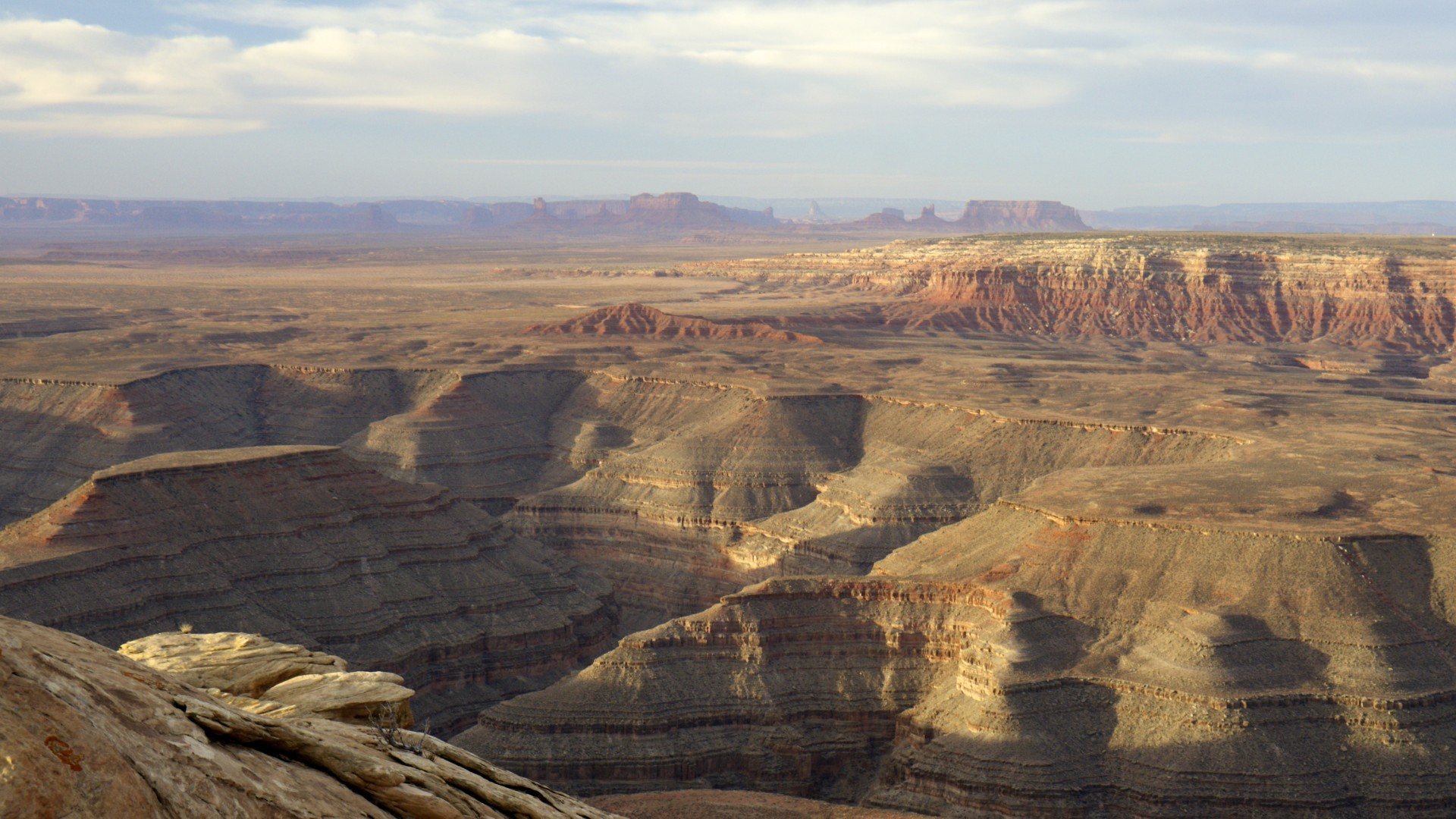 Muley Point View - gallery