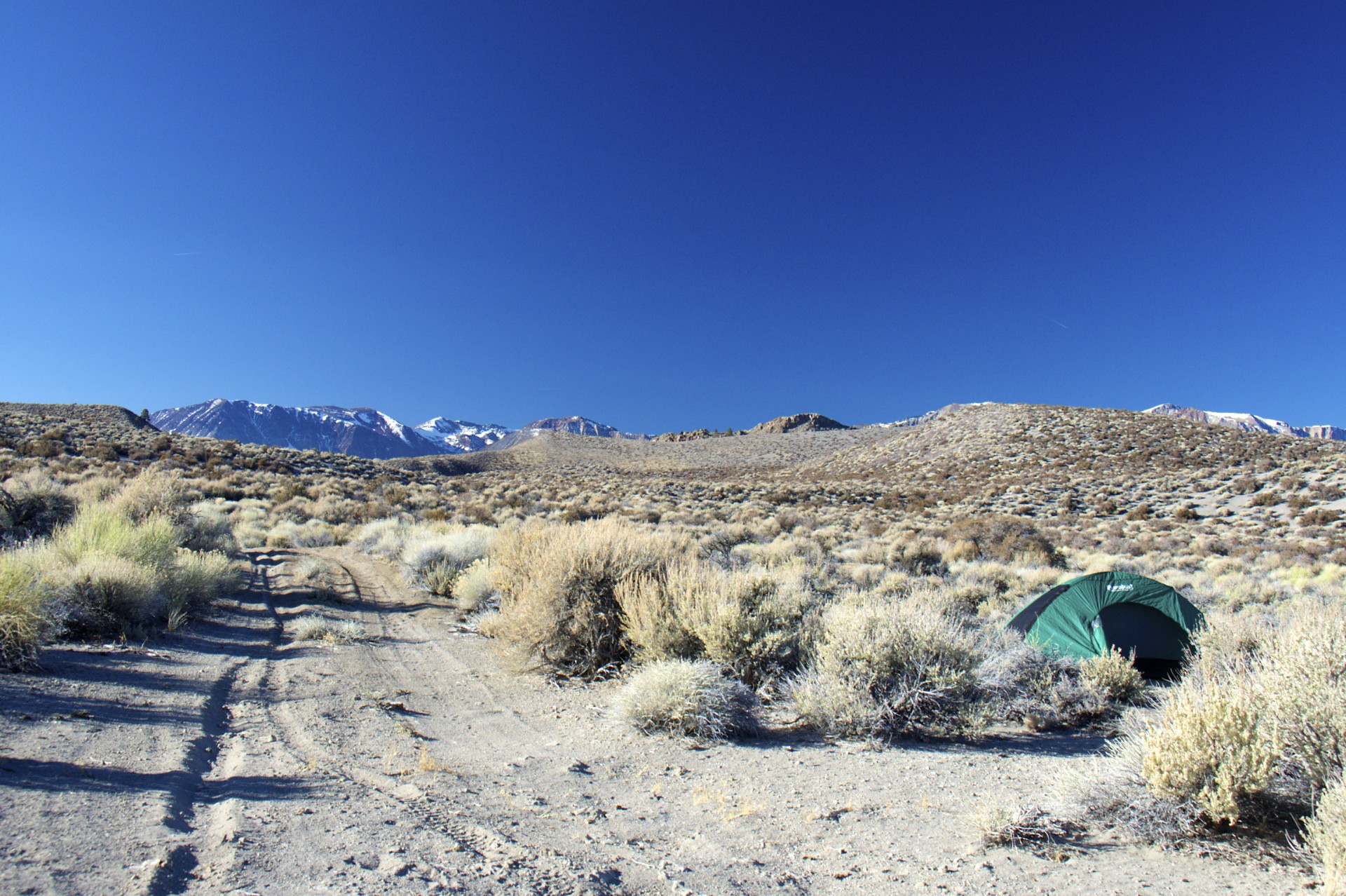 Near Mono Lake - gallery