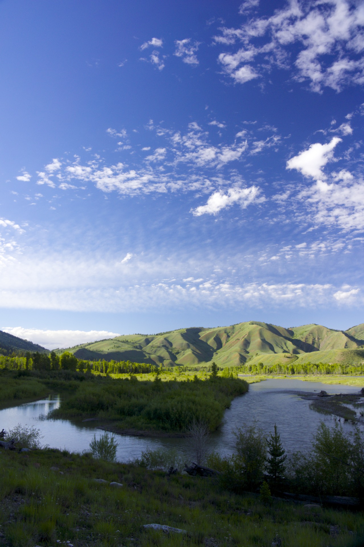 Snake River - gallery