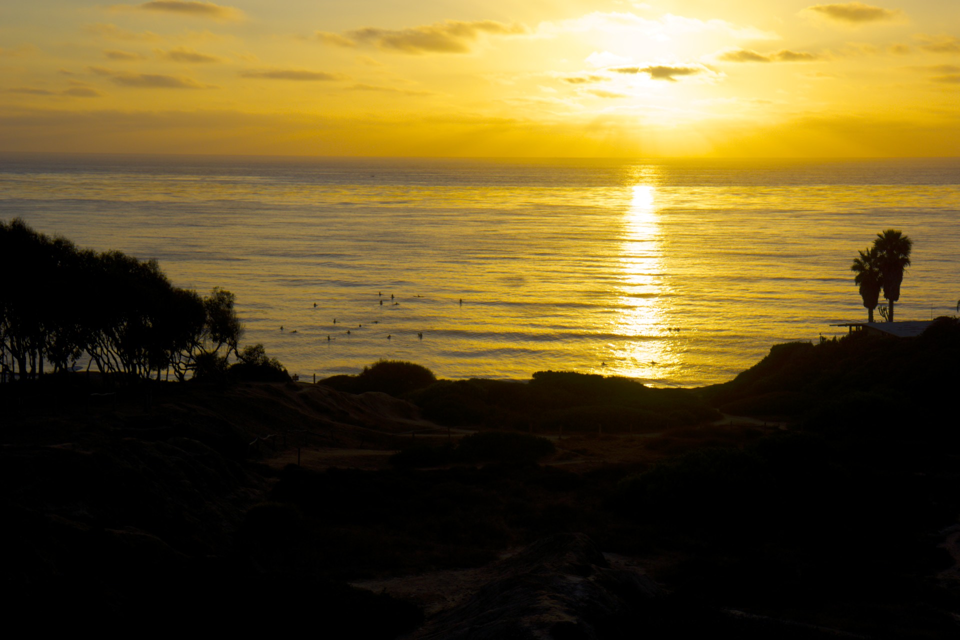 Sunset Cliffs - gallery