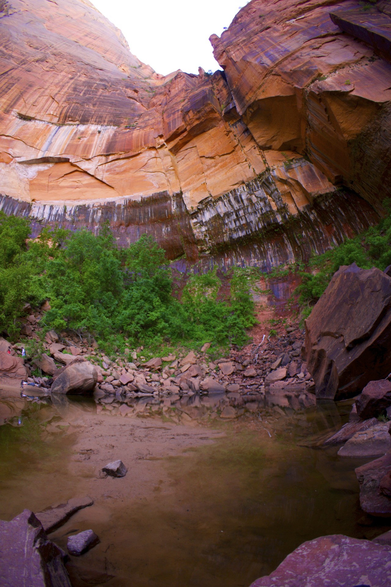 Upper Emerald Pool - gallery