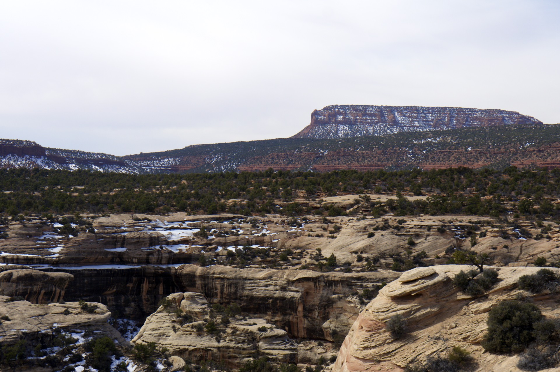 Wingate Mesa - gallery